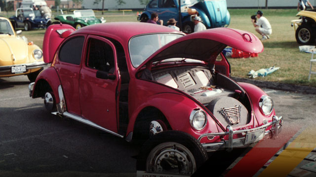 The Great Canadian Bug Show